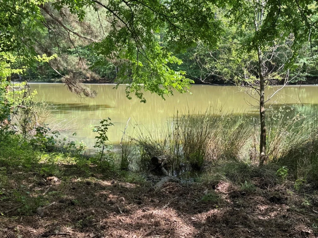 Photo of 16649 County Road 4252D