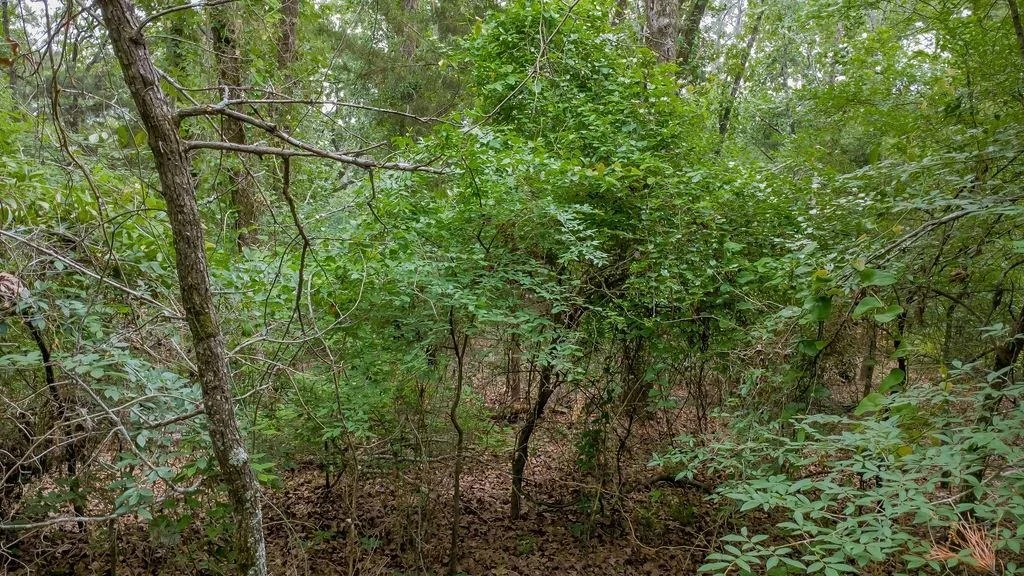 Photo of 1714 Pineview Lane