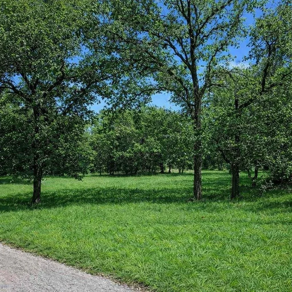Photo of 196 Johnston Lane