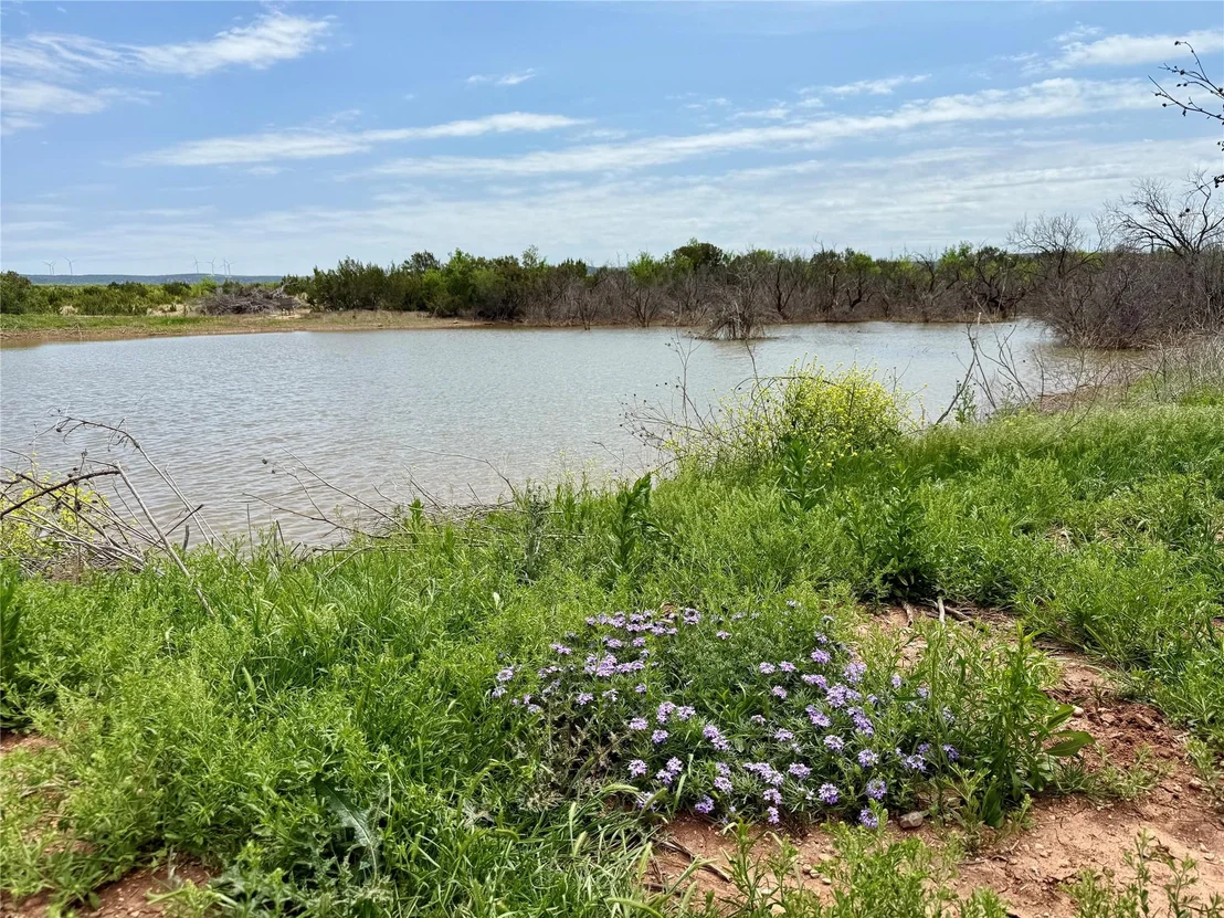 Photo of 631 CR 352