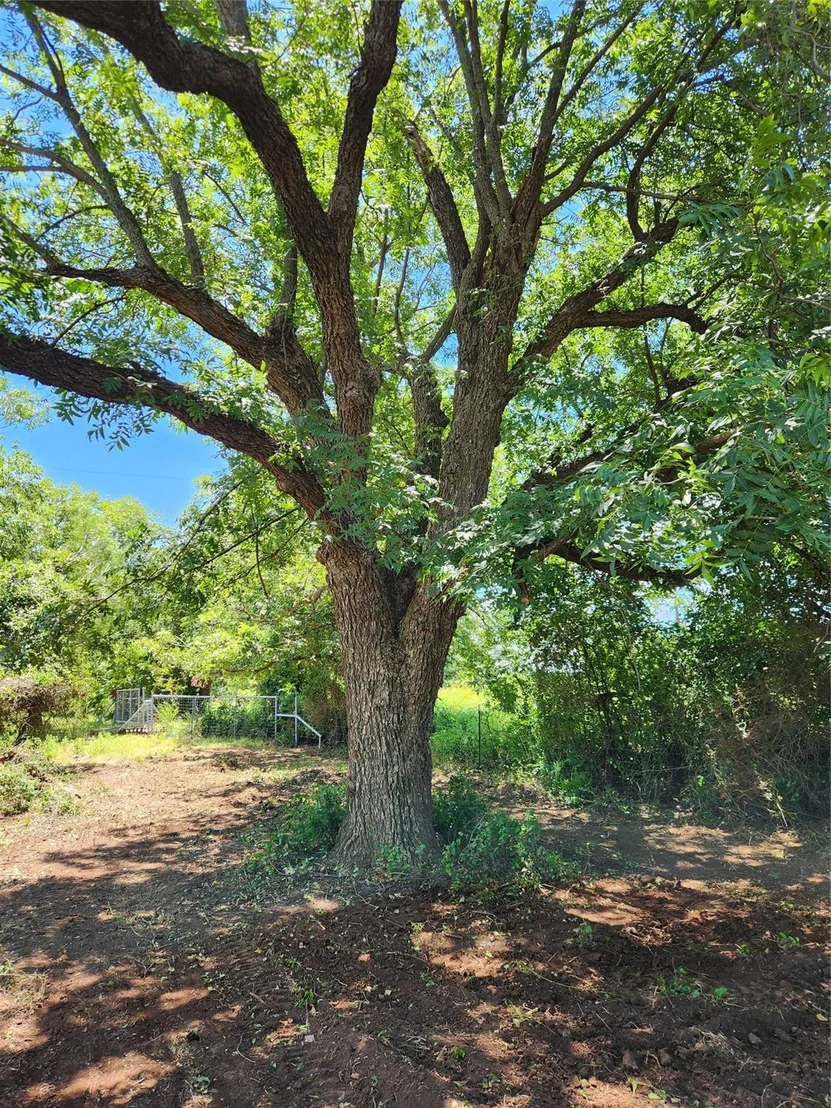 Photo of 824 CR 409