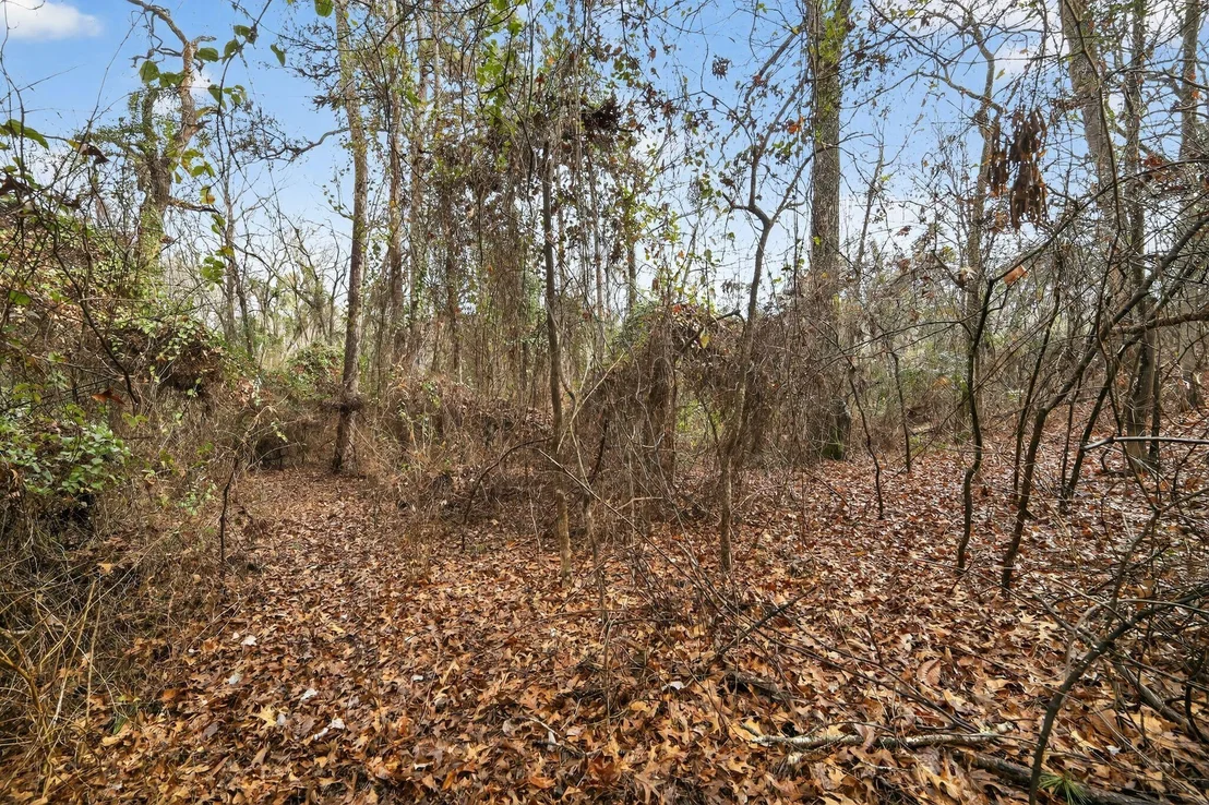 Photo of 868 County Road 2920