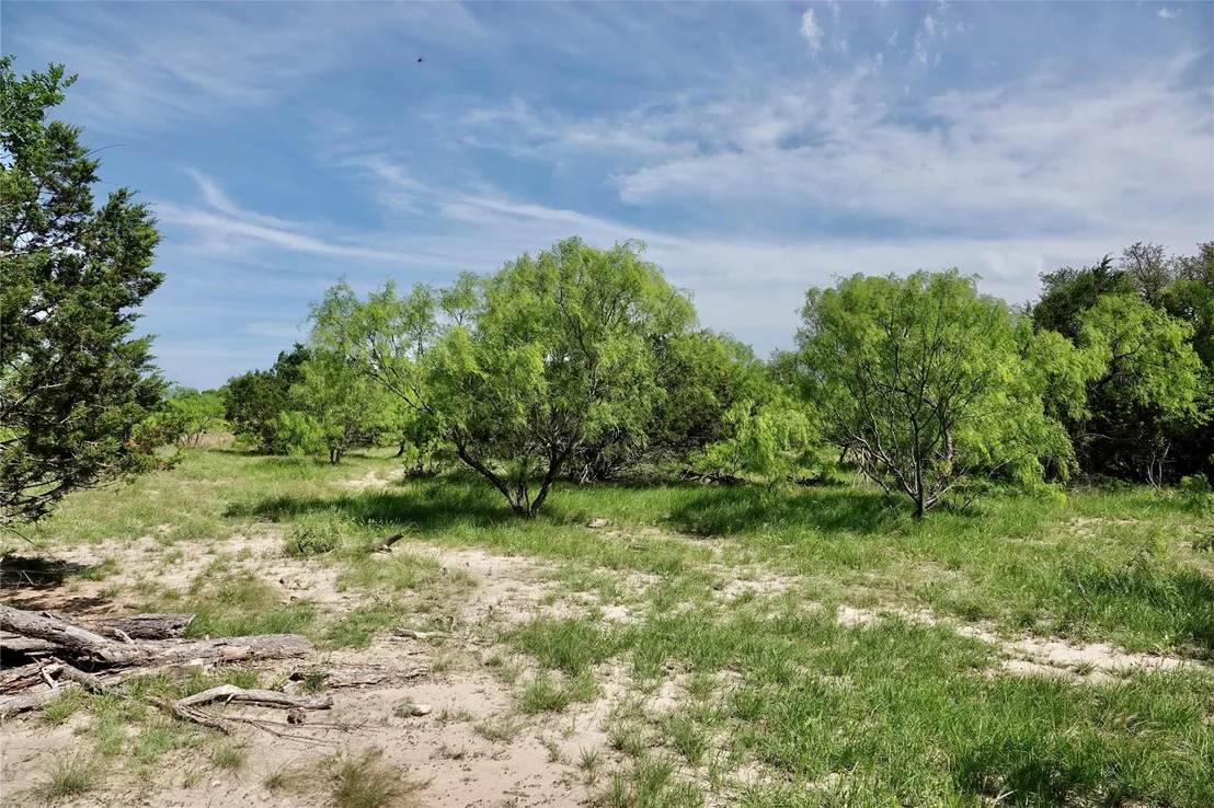 Photo of 981 W Hwy 84