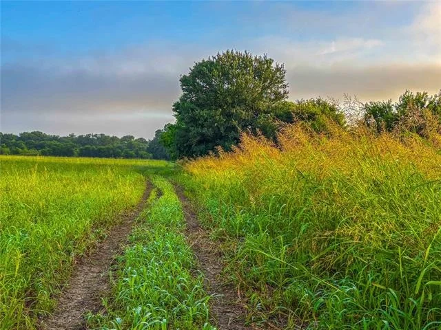 Photo of 524 County Road 453