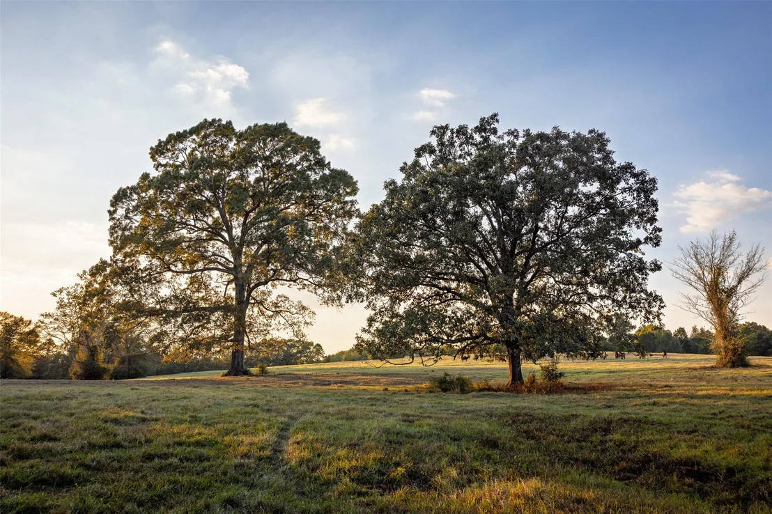 Photo of 973 County Road 2572