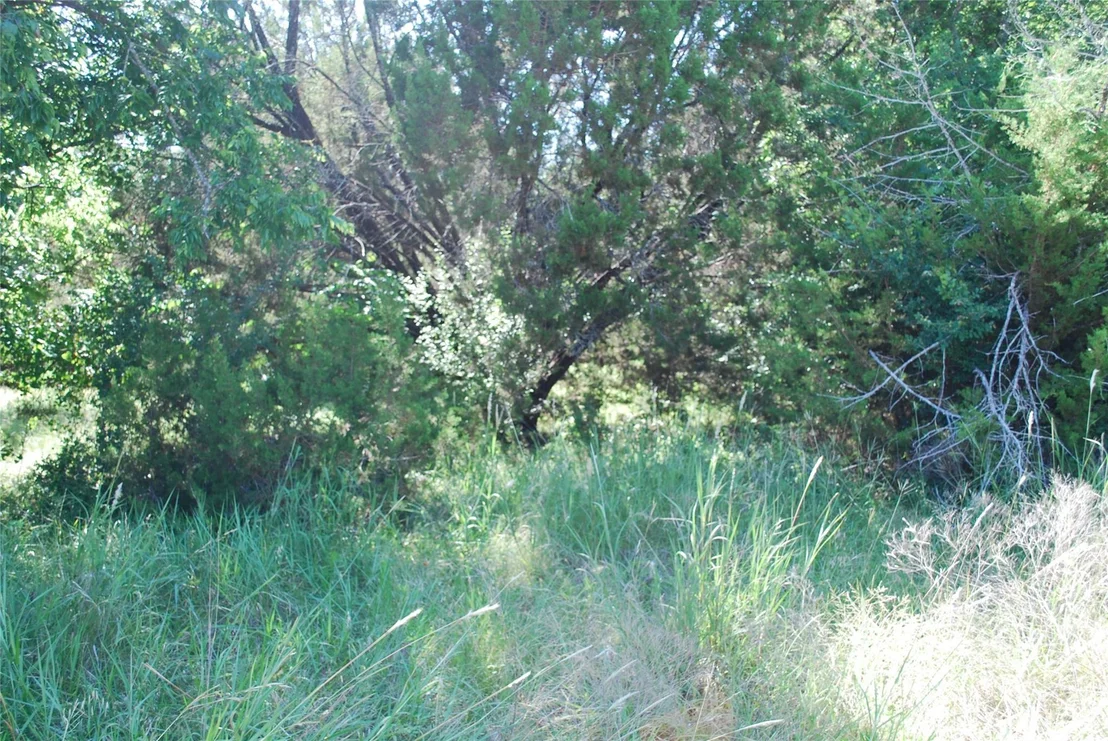 Photo of 1306 Overlook Drive