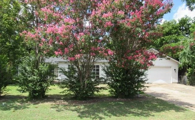 Photo of 717 Tulane Street