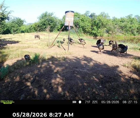 Photo of 643 County Road 183