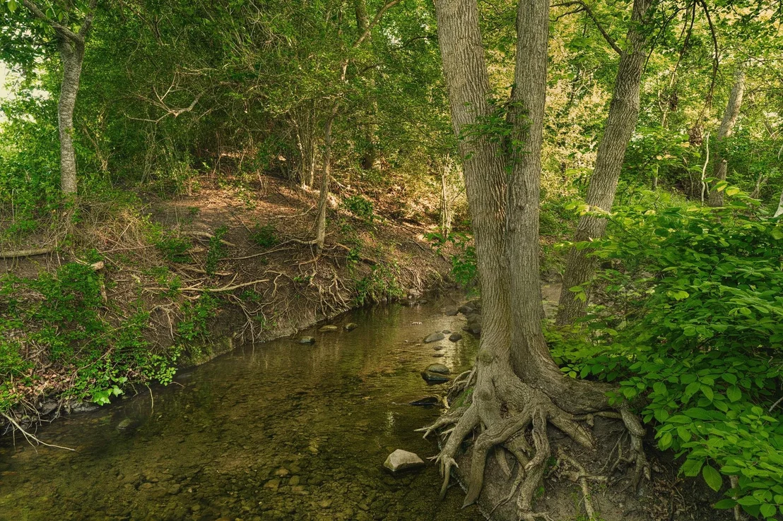 Photo of Tract 2 Cr 433