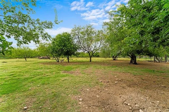 Photo of 9312 County Road 513