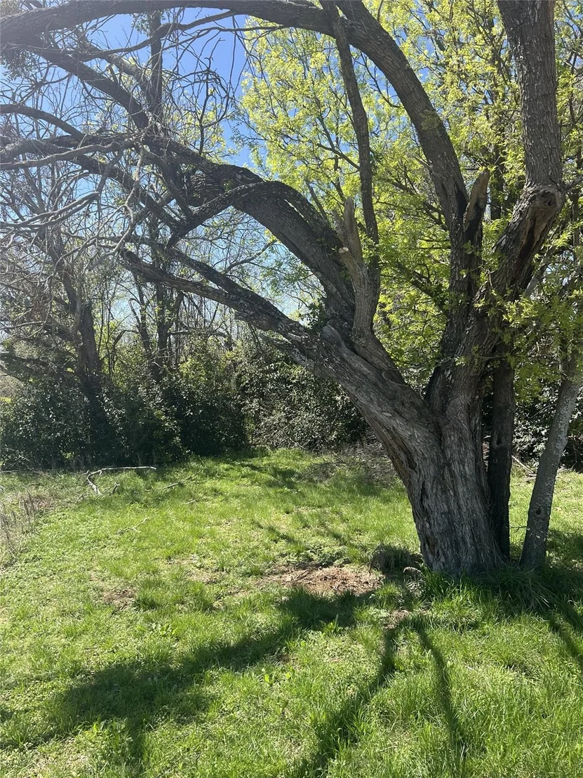 Photo of 2312 Main Blvd
