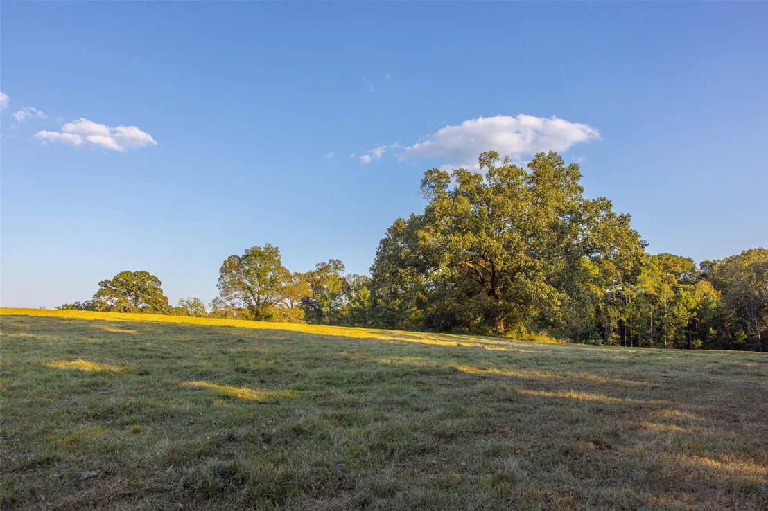 Photo of 973 County Road 2572