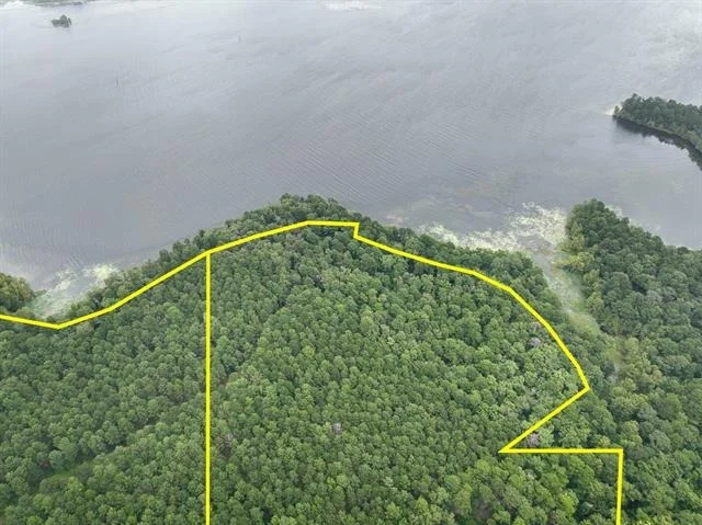 Photo of T-3 Arledge Trail/Off Gateway Meadows