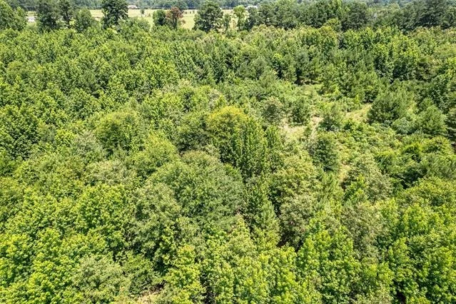 Photo of 15688 US Highway 271