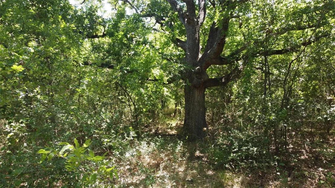 Photo of 4189 Willow Oak Bend
