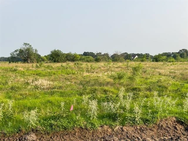 Photo of LOT 12 ELM BRANCH