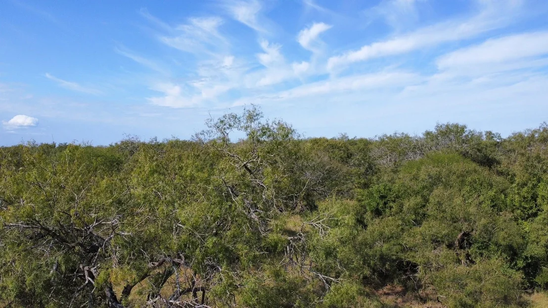 Photo of 14135 County Road 1144