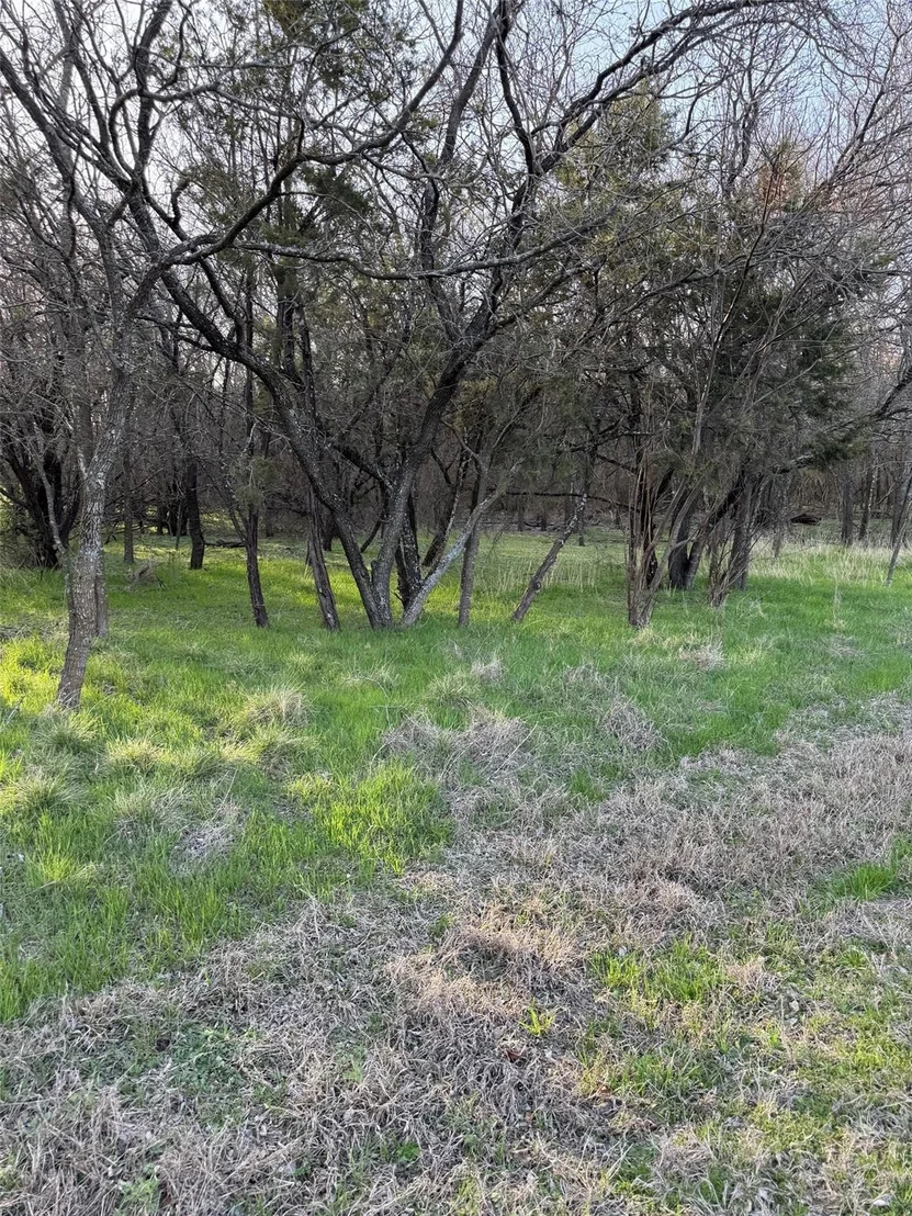 Photo of 12147 Trailwood Drive