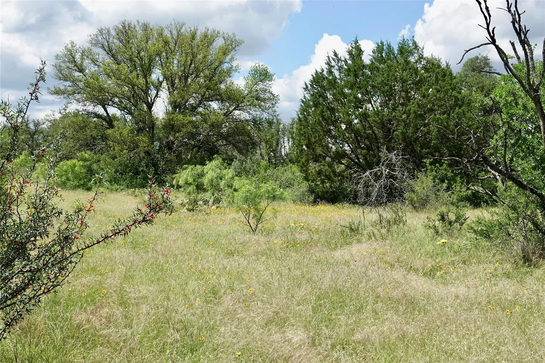 Photo of 219 CR 550