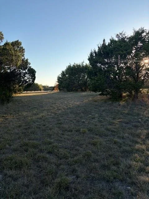 Photo of 7433 Royal Winchester Drive