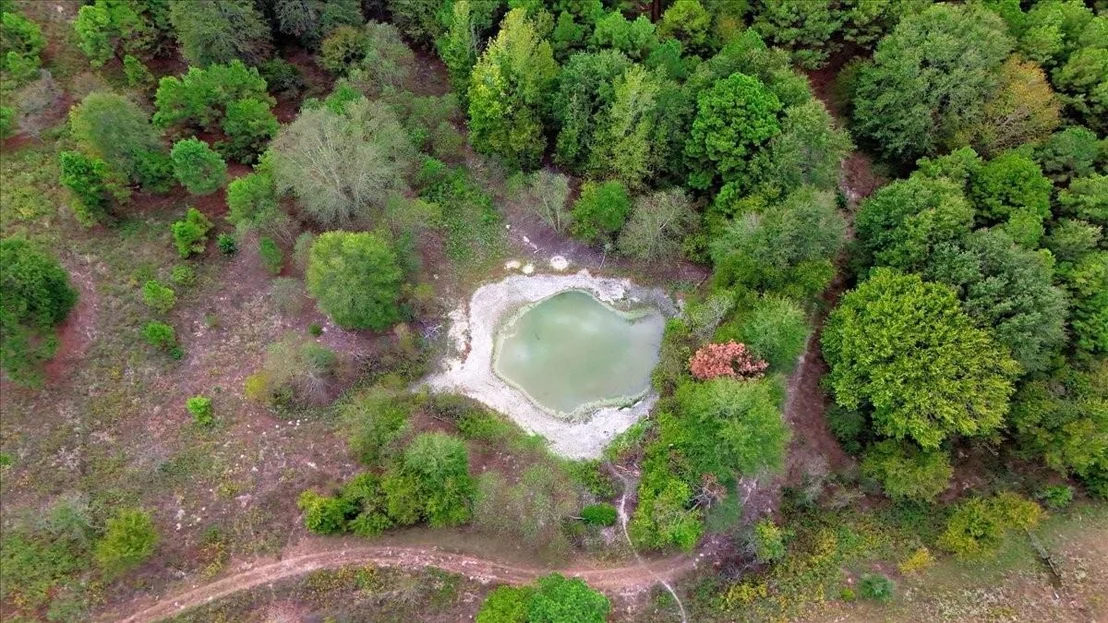 Photo of 448 County Road 3955