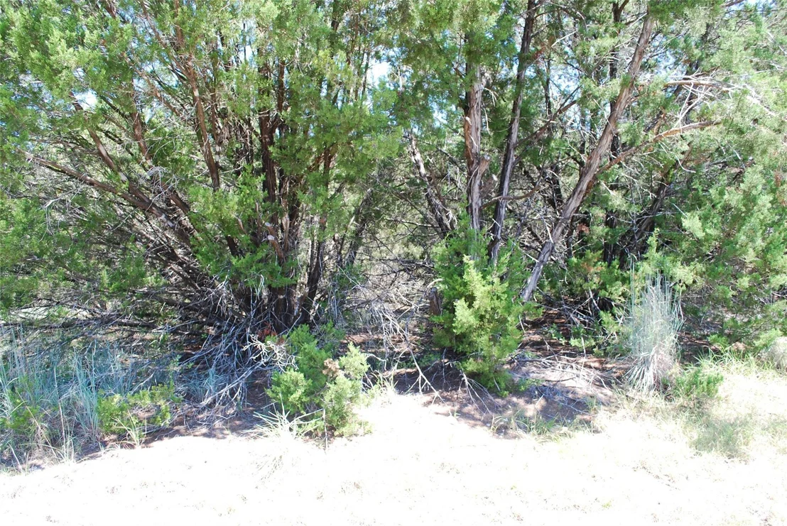 Photo of 8183 Cedar Crest Drive
