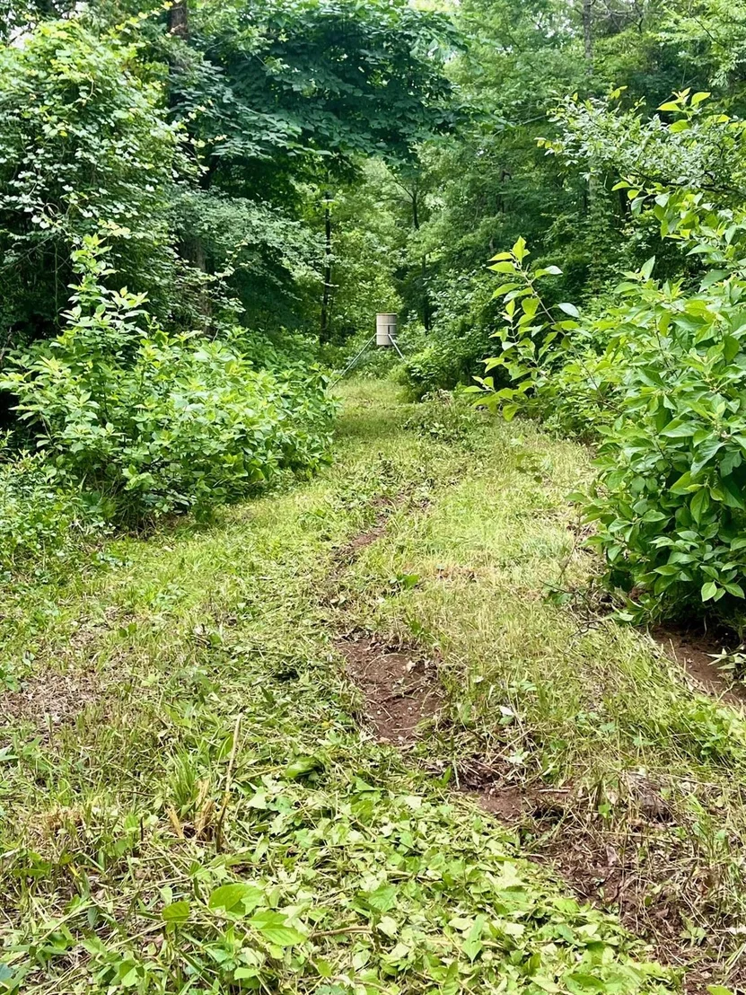 Photo of 950 VZ County Road 1919
