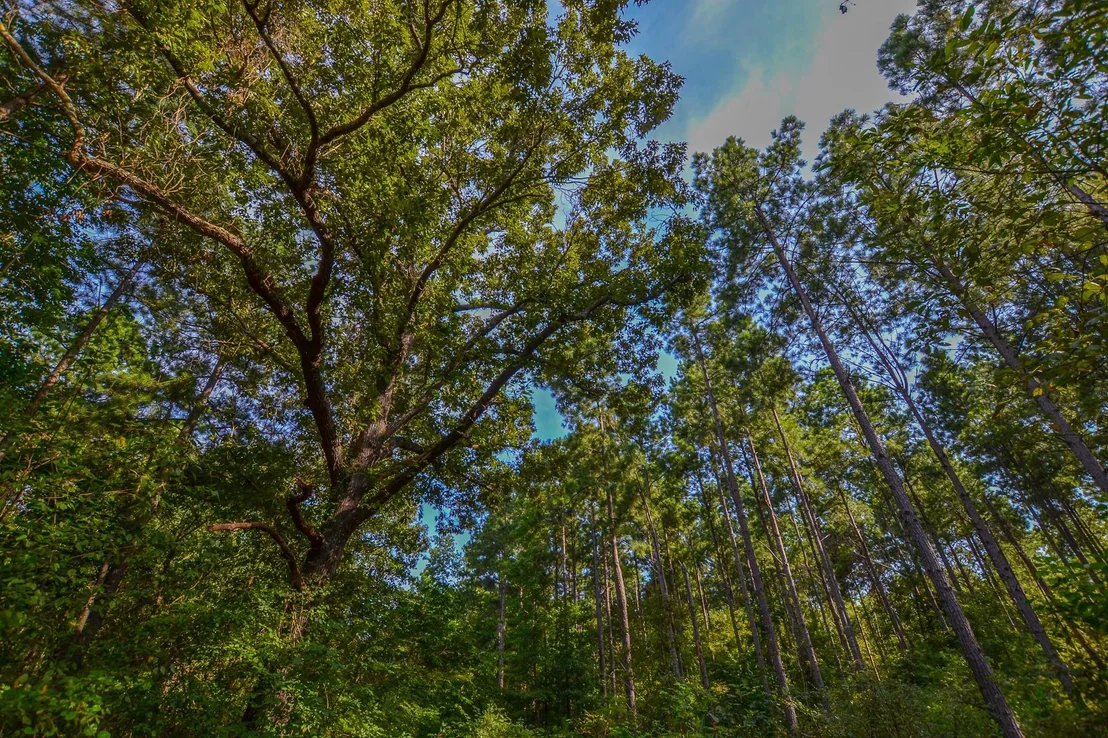 Photo of Tract 3 Hwy 155