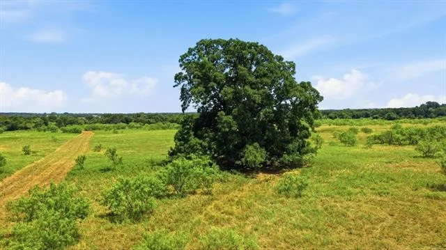 Photo of TBD E Fm 2210 E