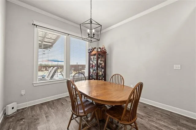 Photo of 225 Swan Lake