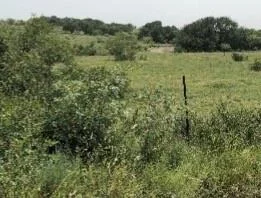 Photo of 1210 County Road 341