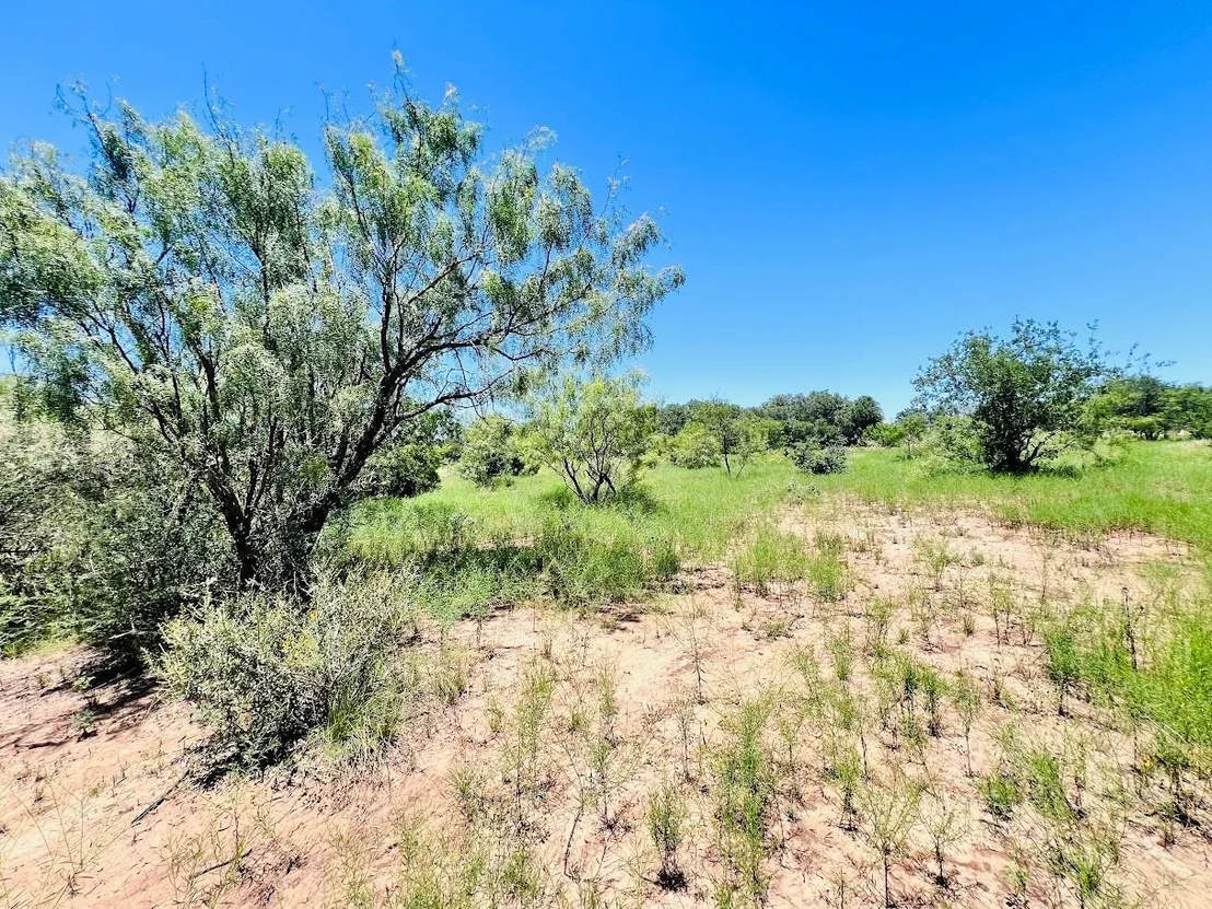 Photo of 1349 County Road 152