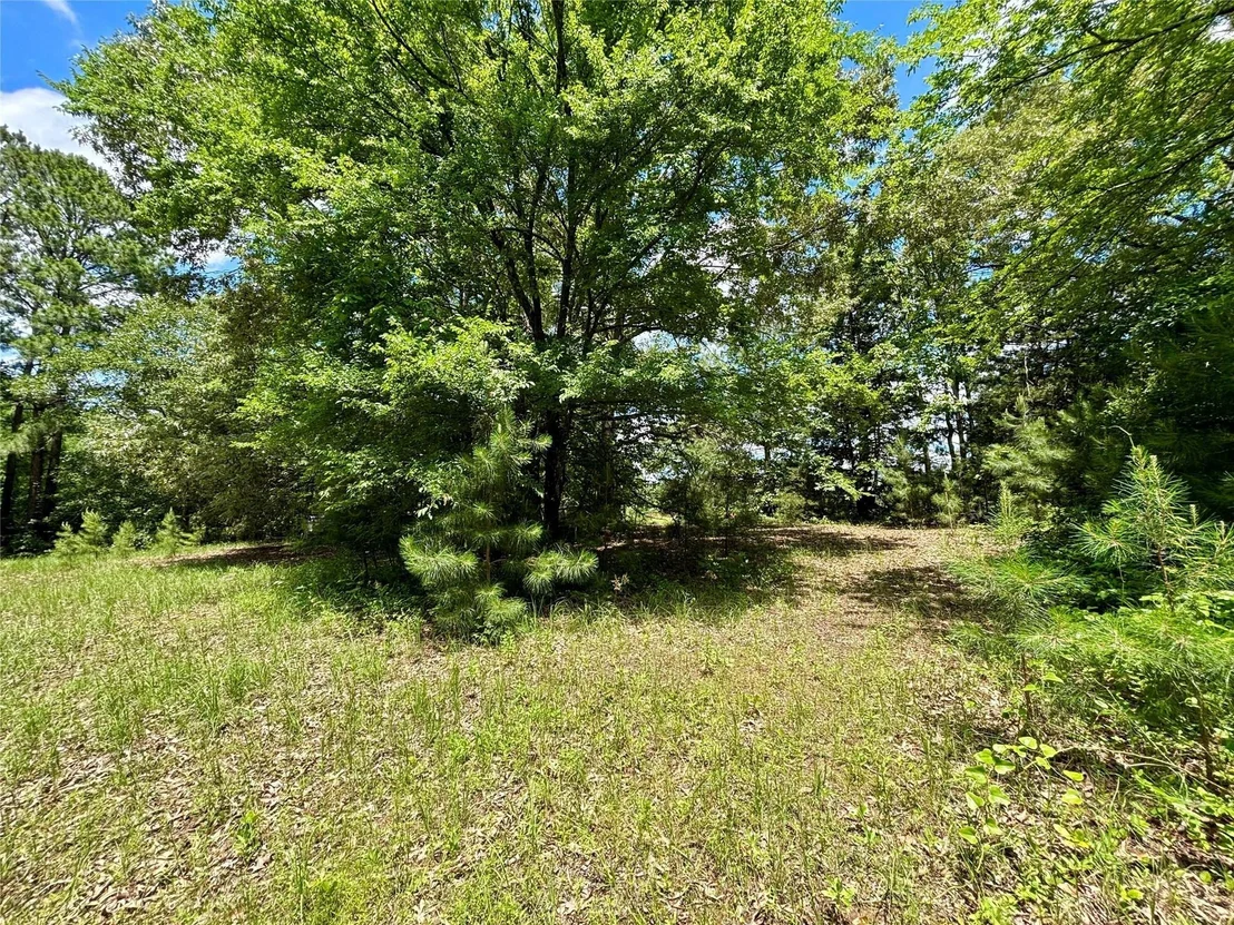 Photo of 5982 Doe Trail