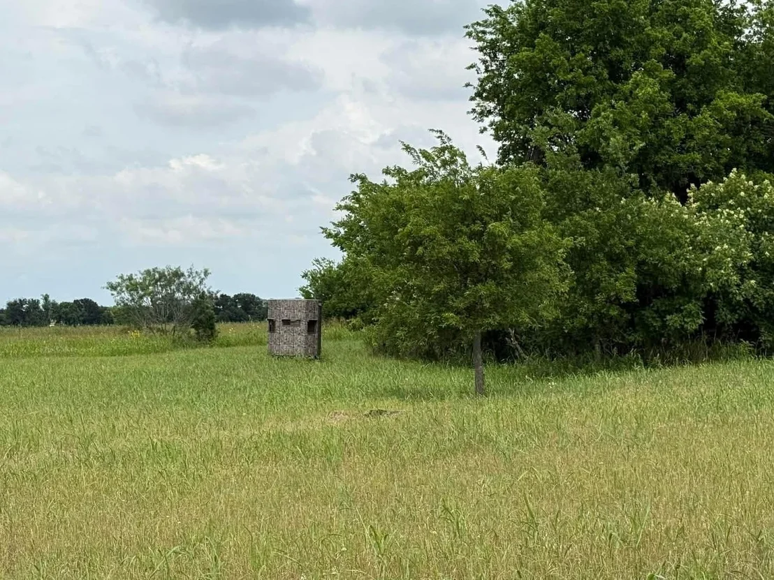 Photo of 1162 County Road 134