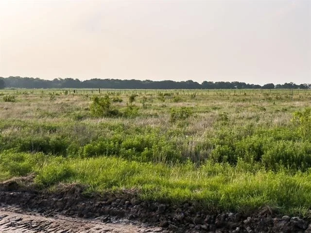 Photo of LOT 19 ELM BRANCH