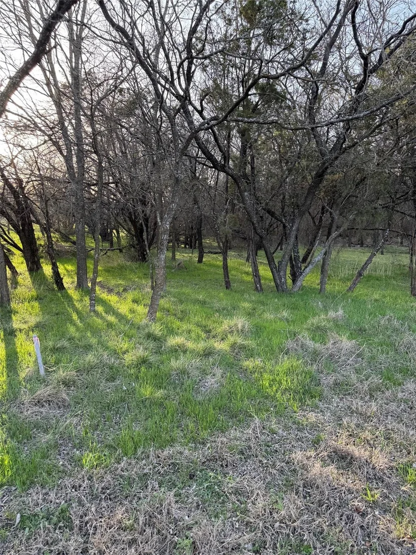 Photo of 12147 Trailwood Drive