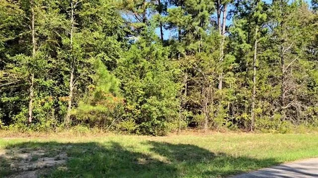 Photo of 224 County Road 2267