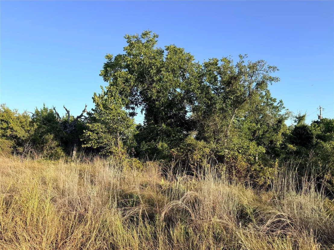 Photo of 37 Pr 224