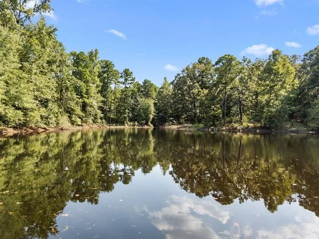 Photo of 1081 County Road 3875