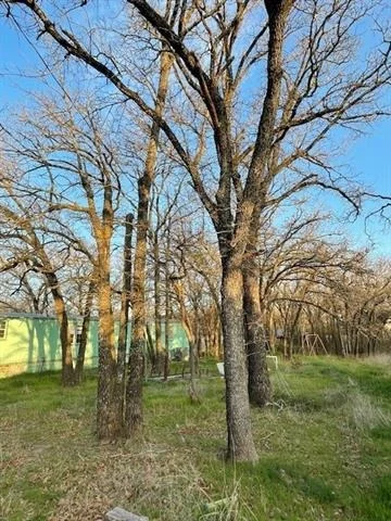 Photo of 240 County Road 4847
