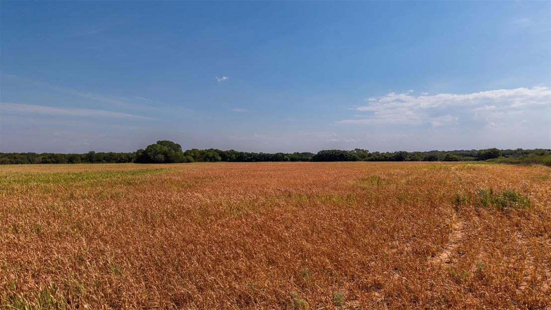 Photo of 1021 County Road 476