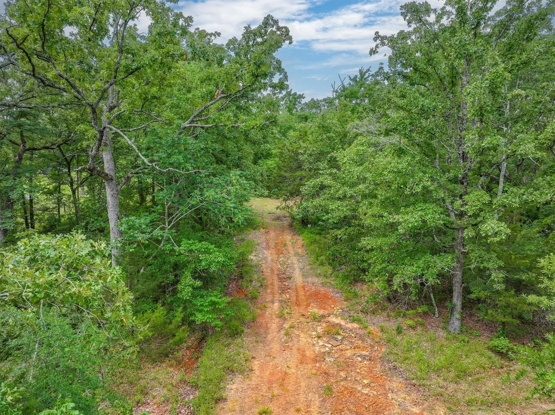 Photo of 950 VZ County Road 1919