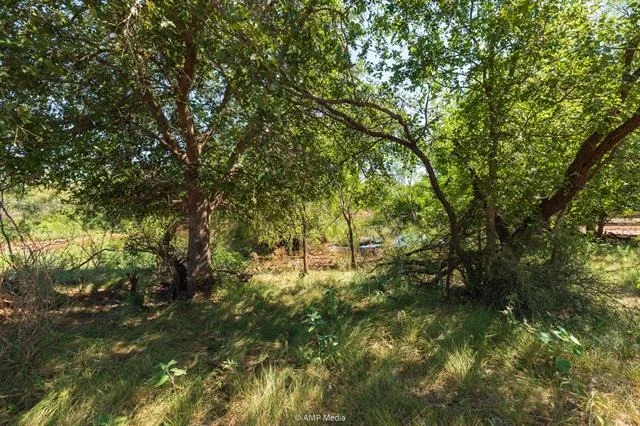Photo of 1363 County Road 441