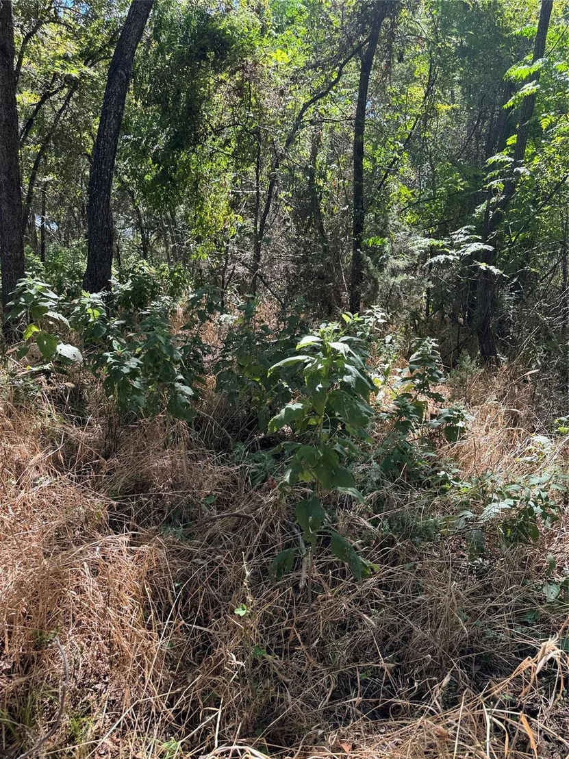 Photo of 15037 Golf Drive