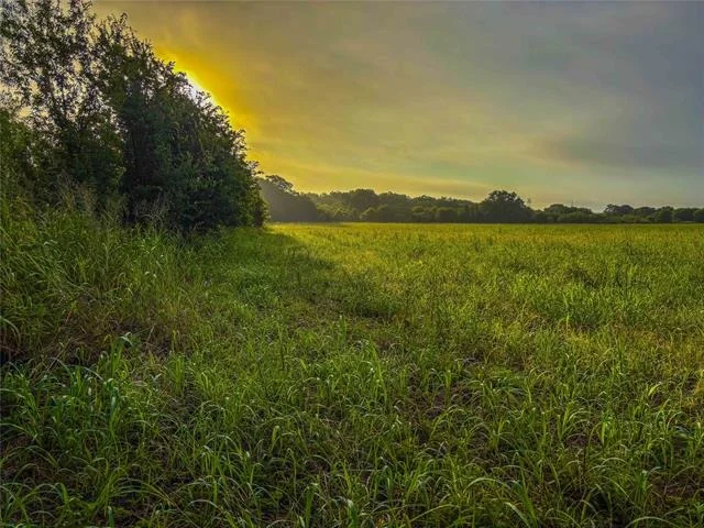 Photo of 524 County Road 453