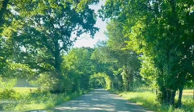 Photo of 1630 County Road 2320