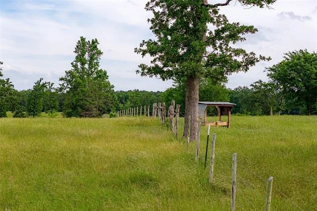 Photo of 1114 County Road 1512
