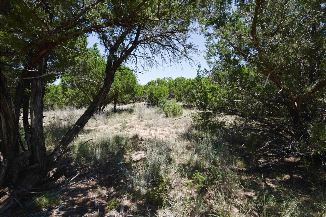 Photo of 420 CR 685