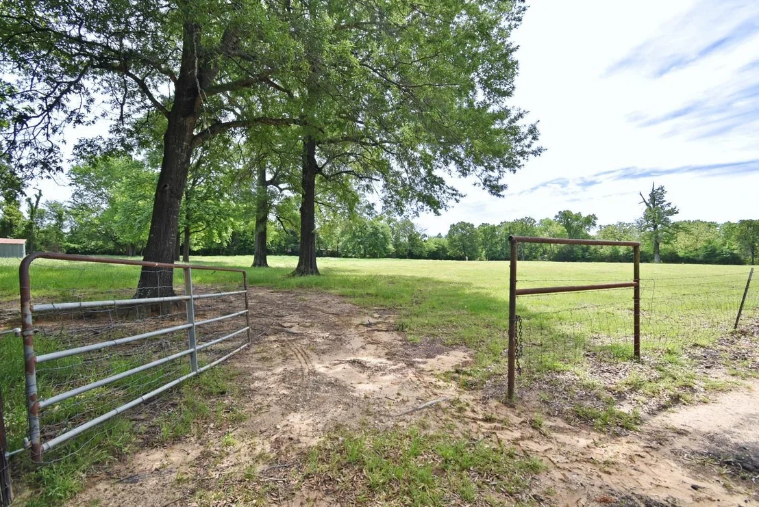 Photo of 599 County Road 1260