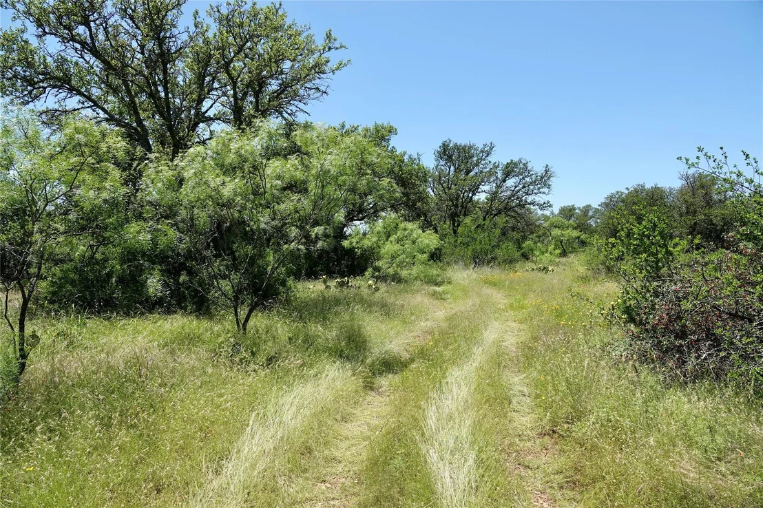 Photo of 219 CR 550